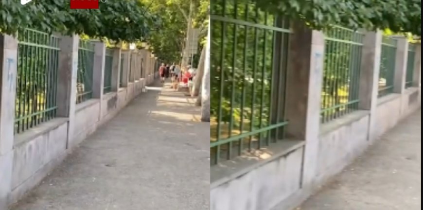 ძალიან ფრთხილად იყავით "ძალიან გადავრჩით, ბავშვთან ერთად შევნიშნე ეს, უამრავი ბავშვი ტრიალებს ტერიტორიაზე" - რა ხდება მუშტაიდის ბაღთან? (ვიდეო)