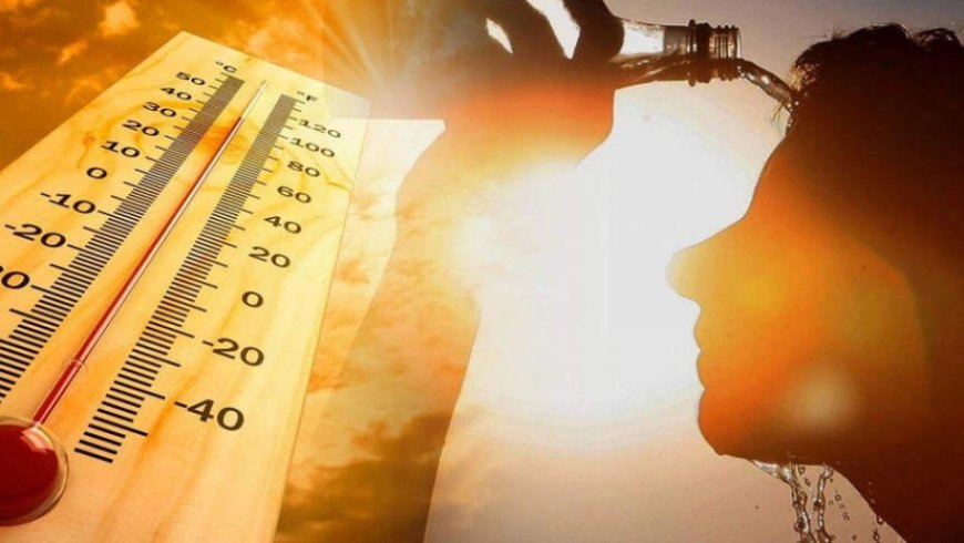 ძალიან ცხელი ზაფხული იქნება,ტემპერატურა 36° გრადუს მიაღწევს.." - ნახეთ სინოპტიკოსების მოულოდნელი 1 თვის პროგნოზი