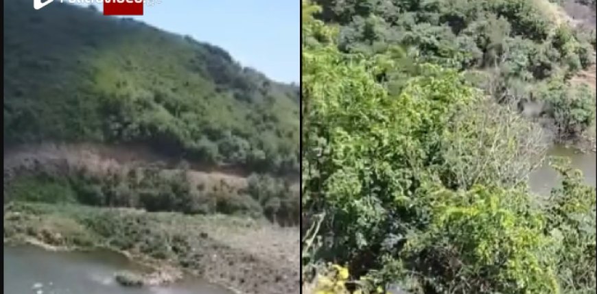 ეს რაარის, ძლიან ფრთხილად იყავით კადრები გლდანშია გადაღებული - ვიდეოს, რომელიც სოციალურ ქსელში გავრცელდა, დიდი გამოხმაურება მოჰყვა (ვიდეო)
