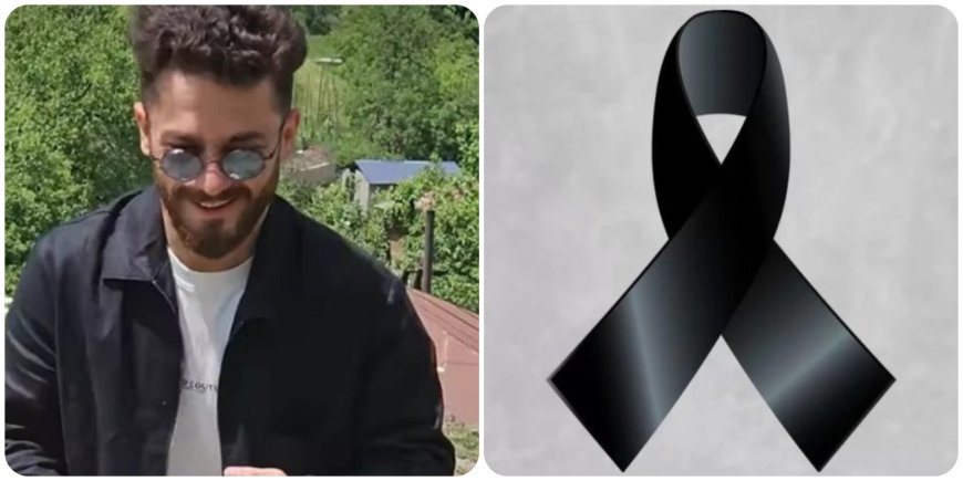 "გვიყვებოდა, როგორ აწყობდა თითო ინსტრუქციას, საკმაოდ ფრთხილი იყო... ცოლი ჯერ კიდევ ვერ ხვდება, რა ხდება მის თავს, არ ვიცი მისი პატარა მამის გარეშე როგორ გაძლებს" - რას ჰყვებიან გონიოში დაღუპულ ბიჭზე?